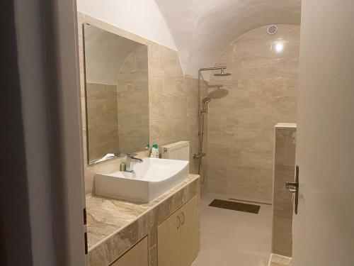 a bathroom with a sink and a mirror and a shower at Apartman Fabrik in Hainburg an der Donau