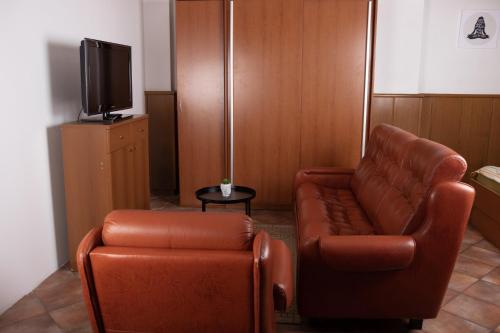 Μια τηλεόραση ή/και κέντρο ψυχαγωγίας στο Apartma-studio Ajdna