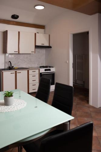 Η κουζίνα ή μικρή κουζίνα στο Apartma-studio Ajdna
