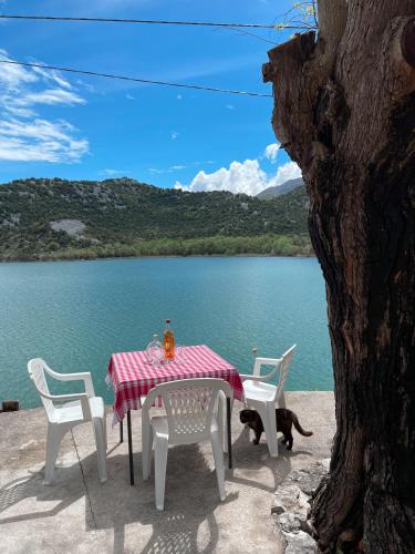 a table and chairs with a table and a cat sitting next to a lake at Lakeview Apartments Jolicic in Virpazar
