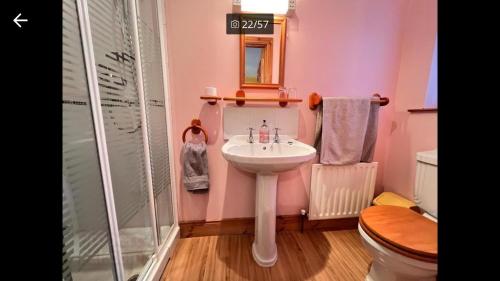 een badkamer met een wastafel, een toilet en een spiegel bij Asdee House in Bushmills