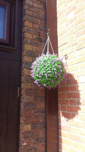 a hanging basket of flowers hanging on a brick wall at Duke of Buckingham in Portsmouth