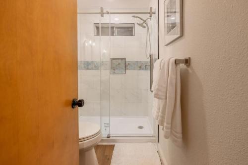 a bathroom with a shower and a toilet at Corlieu Falls Cabin in Sugar Pine 8 miles from Yosemite with Gazebo, Hot tub a shack and Bar top in Oakhurst