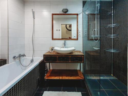 y baño con lavabo y ducha. en Priestranný apartmán v centre, en Košice
