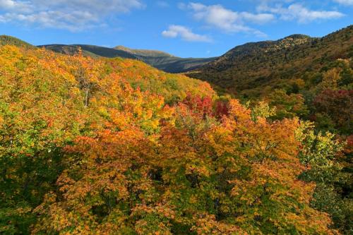 an autumn view of the mountains and trees at Rustic Escape in Franconia
