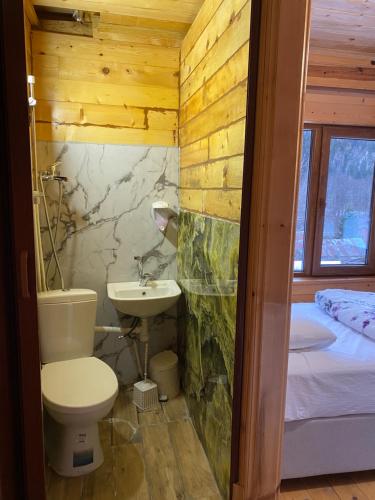 a bathroom with a toilet and a sink in a room at Çamdibi Konaklama in Rize