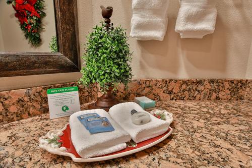 a towel on a plate on a counter in a bathroom at The Inn at Christmas Place in Pigeon Forge