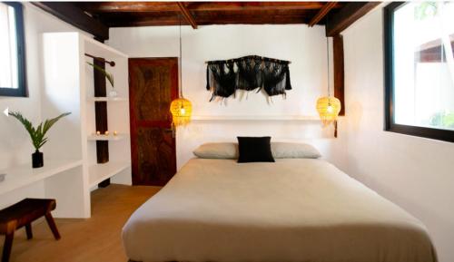 Mohave Jungle Rooms – Photos 3