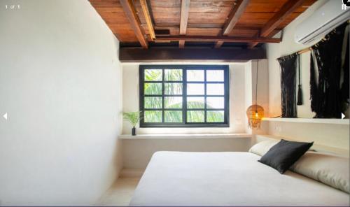 Mohave Jungle Rooms – Photos 2