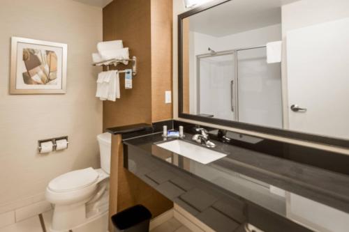 a bathroom with a sink and a toilet and a mirror at Fairfield Inn & Suites by Marriott Montgomery Airport in Hope Hull