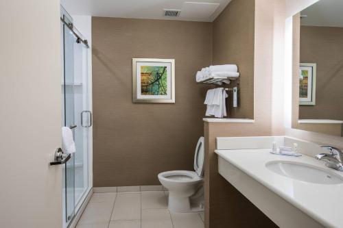 y baño con aseo, lavabo y ducha. en Fairfield Inn & Suites by Marriott Florence I-20, en Florence