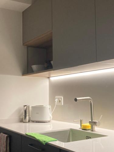 a kitchen counter with a sink and a mixer at Baltasar Etxabe - ONGI ETORRI in Zumaia