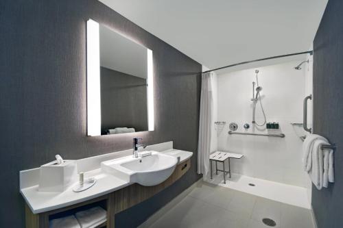 La salle de bains est pourvue d'un lavabo, d'une douche et d'une baignoire. dans l'établissement SpringHill Suites by Marriott St. Paul Arden Hills, à Arden Hills
