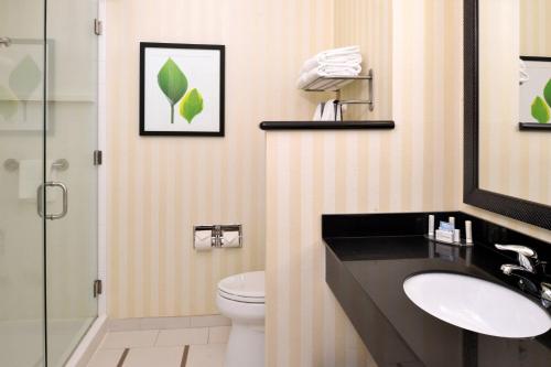 a bathroom with a sink and a toilet at Fairfield Inn & Suites by Marriott Cedar Rapids in Cedar Rapids