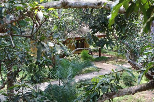 a walkway through a garden with trees at Bissa Villa in Habarana