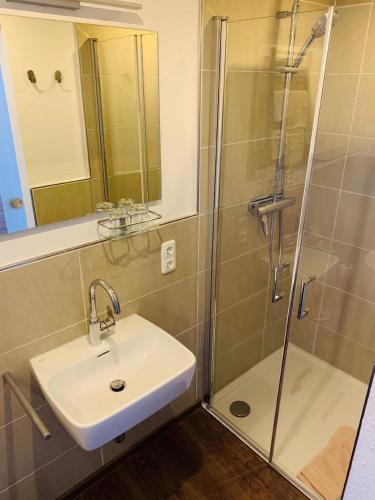 uma casa de banho com um lavatório e um chuveiro em Schönes Appartement in Lam em Lam