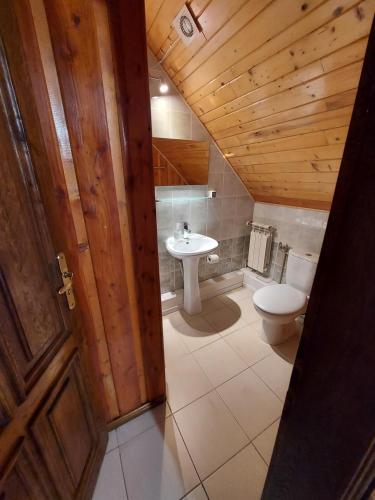 a bathroom with a toilet and a sink at Sokoli Dwór in Smardzewice