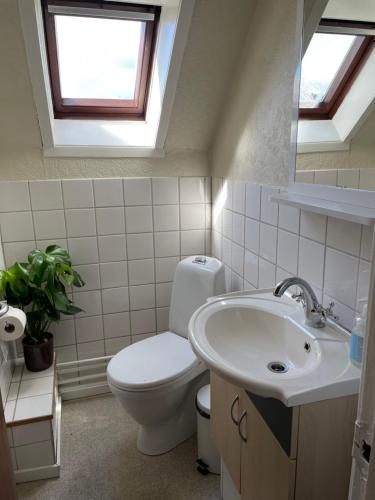 a bathroom with a toilet and a sink and a window at Cafe Sallys bed and breakfast in Ribe