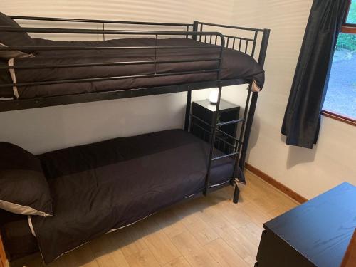 Poschodová posteľ alebo postele v izbe v ubytovaní Snowdonia cabin