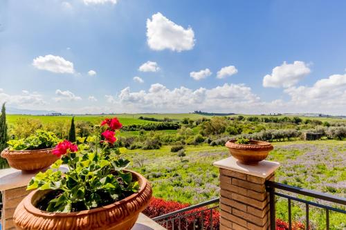 a balcony with two flower pots and a view of a field at B&B A casa di Giulia in Guidonia