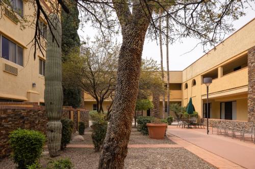 Gallery image of La Quinta by Wyndham Tucson - Reid Park in Tucson