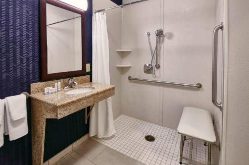 a bathroom with a sink and a shower at Fairfield Inn & Suites Detroit Livonia in Livonia