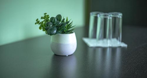 a small white vase with a plant on a table at Пансион - Димитър Хадживасилев in Svishtov