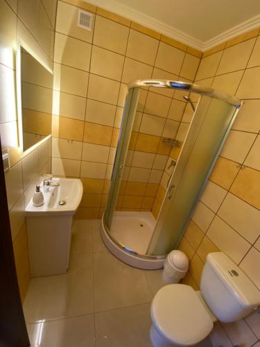 a bathroom with a shower and a toilet and a sink at Pasja Noclegi B&B in Wołów