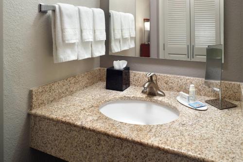 a bathroom counter with a sink and a mirror at Courtyard by Marriott Macon in Macon