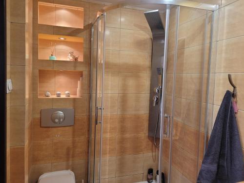 Kúpeľňa v ubytovaní Apartament Palisadowa