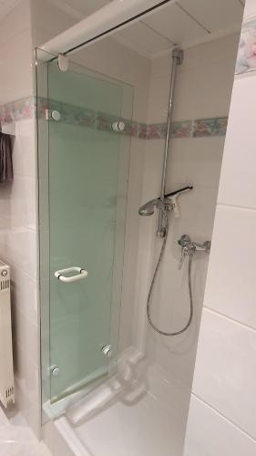 W łazience znajduje się prysznic ze szklanymi drzwiami. w obiekcie Ferienappartement Melanie w Füssen
