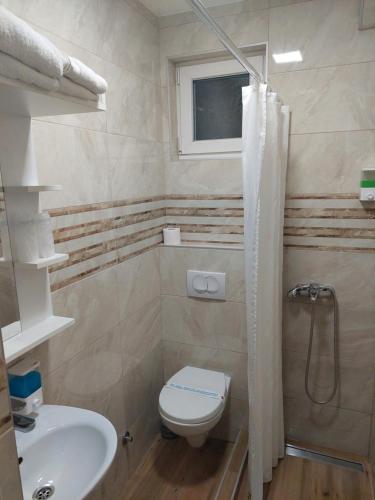 een badkamer met een toilet en een wastafel bij Alijansa in Čačak