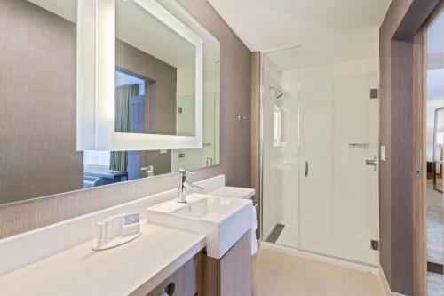 La salle de bains est pourvue d'un lavabo et d'un miroir. dans l'établissement SpringHill Suites by Marriott Ocala, à Ocala