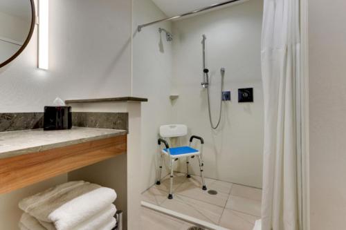 Bilik mandi di Fairfield by Marriott Inn & Suites Dalton
