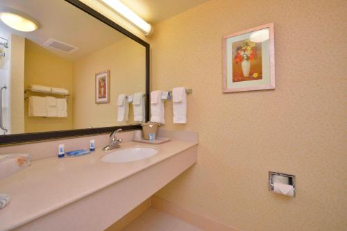 baño con lavabo y espejo grande en Fairfield Inn and Suites by Marriott Williamsport en Williamsport