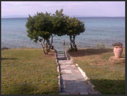 a path with trees and a person in the water at Olga Studio House in front of the beach in Polykhrono
