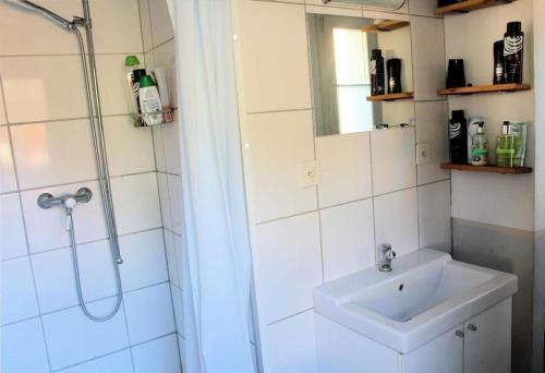 La salle de bains est pourvue d'un lavabo et d'une douche. dans l'établissement Barlis - stilvolle Ferien in typischem Dorfhaus, à Alpnach