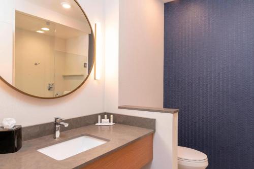 a bathroom with a sink and a mirror and a toilet at Fairfield Inn & Suites by Marriott Fair Oaks Farms in Fair Oaks