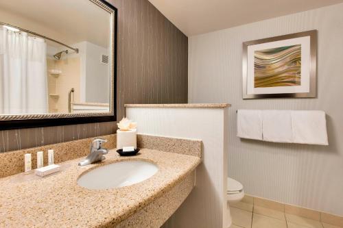 a bathroom with a sink and a toilet and a mirror at Courtyard Philadelphia Great Valley/Malvern in Malvern