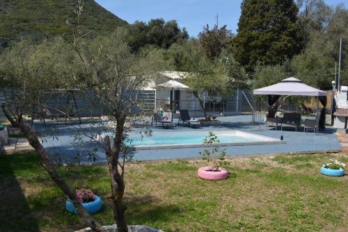 a pool with three potted trees in a yard at Villa Gardiki for2 in Halikounas