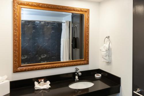 a bathroom with a sink and a mirror at Le Richelieu in the French Quarter in New Orleans