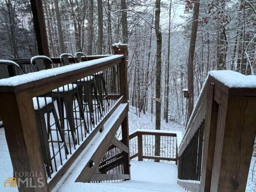 Hollow Tree Hideaway - Coosawattee River Resort 2 v zimě
