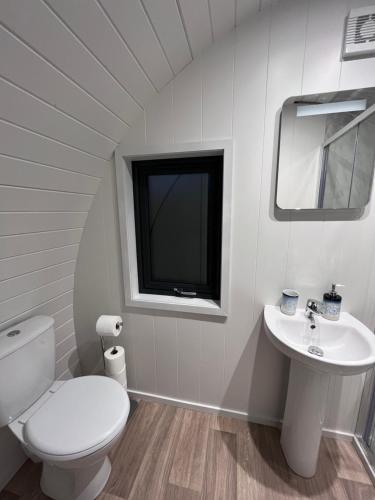 baño con aseo y lavabo y ventana en Tanglewood Loft, en Newry