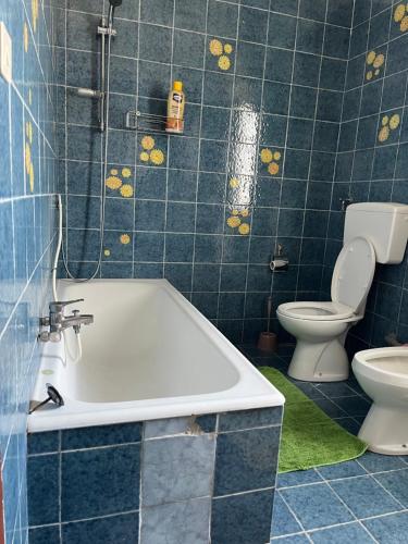 La salle de bains est pourvue d'une baignoire et de toilettes. dans l'établissement Stanze private in appartamento, à Udine