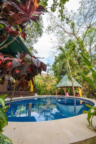 a swimming pool in front of a resort with trees at Pura Vida Mini Hostel Santa Teresa in Santa Teresa Beach