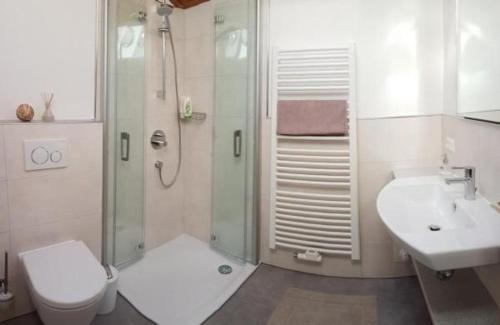 een badkamer met een douche, een toilet en een wastafel bij Gemütliche Ferienwohnung in Schneizlreuth mit Terrasse und Bergblick in Schneizlreuth