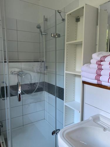 a bathroom with a shower and a sink at Haus Rheinberg Gästehaus in Lorch am Rhein