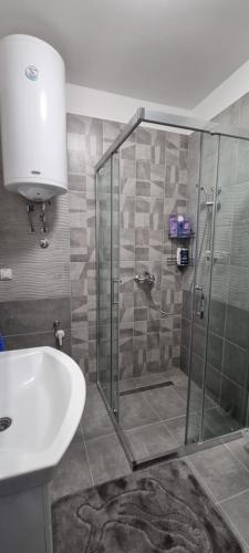a shower with a glass door next to a sink at Apartman Visnja in Subotica