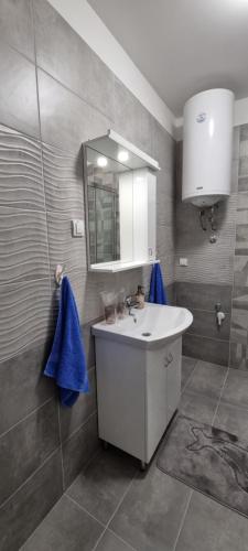 a bathroom with a sink and a mirror at Apartman Visnja in Subotica