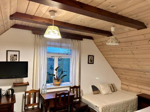 阿洛維察的住宿－Leśne PoBudki，带沙发和窗户的客厅